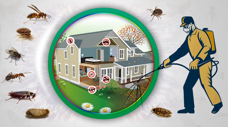 Eğil Böcek İlaçlama